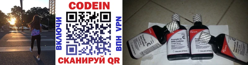 купить закладку  darknet наркотические препараты  Кодеин напиток Lean (лин)  Гагарин 